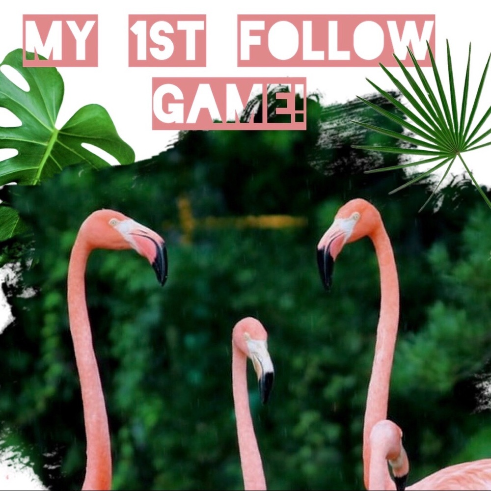 My 1st FOLLOW GAME! LIKE, FOLLOW, SHARE!♥️♥️😘😘♥️ - Picture 1 of 2